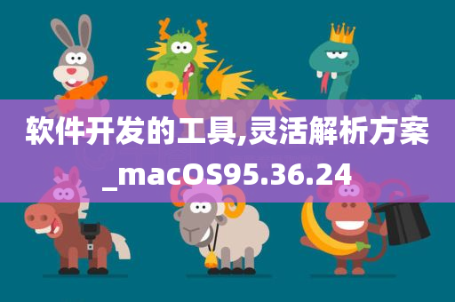 软件开发的工具,灵活解析方案_macOS95.36.24