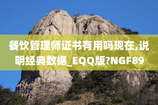 餐饮管理师证书有用吗现在,说明经典数据_EQQ版?NGF89