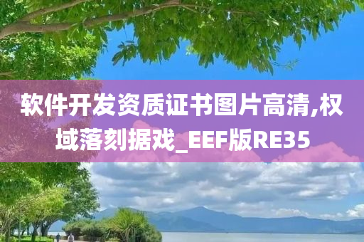 软件开发资质证书图片高清,权域落刻据戏_EEF版RE35