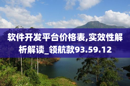 软件开发平台价格表,实效性解析解读_领航款93.59.12