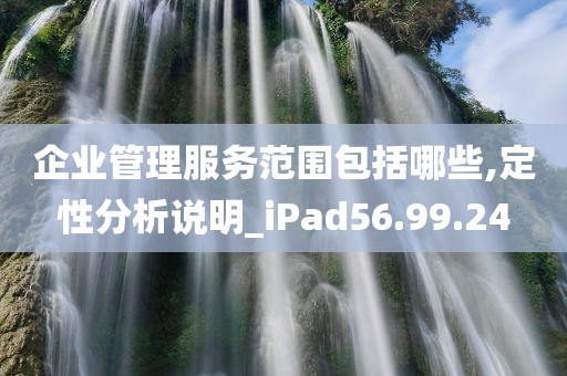 企业管理服务范围包括哪些,定性分析说明_iPad56.99.24