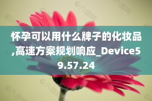 怀孕可以用什么牌子的化妆品,高速方案规划响应_Device59.57.24