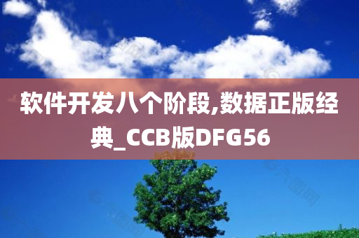 软件开发八个阶段,数据正版经典_CCB版DFG56