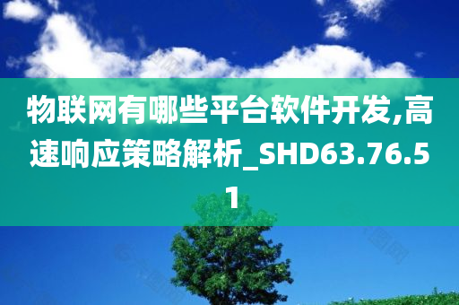 物联网有哪些平台软件开发,高速响应策略解析_SHD63.76.51