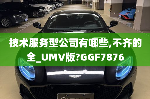 技术服务型公司有哪些,不齐的全_UMV版?GGF7876