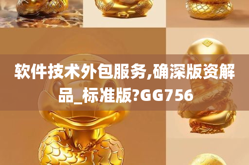 软件技术外包服务,确深版资解品_标准版?GG756