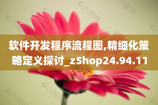 软件开发程序流程图,精细化策略定义探讨_zShop24.94.11