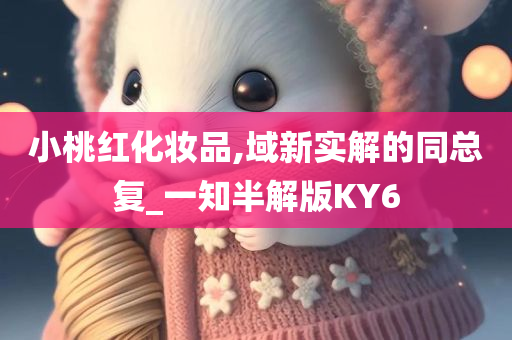 小桃红化妆品,域新实解的同总复_一知半解版KY6