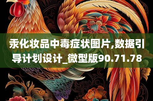 汞化妆品中毒症状图片,数据引导计划设计_微型版90.71.78