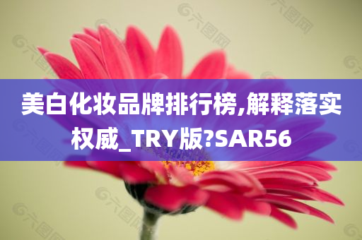 美白化妆品牌排行榜,解释落实权威_TRY版?SAR56