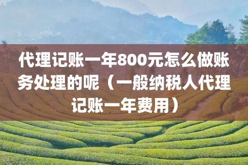 代理记账一年800元怎么做账务处理的呢（一般纳税人代理记账一年费用）