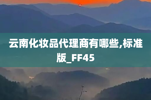 云南化妆品代理商有哪些,标准版_FF45