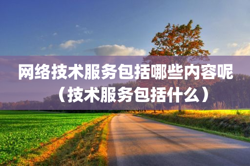 网络技术服务包括哪些内容呢（技术服务包括什么）