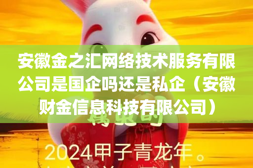 安徽金之汇网络技术服务有限公司是国企吗还是私企（安徽财金信息科技有限公司）