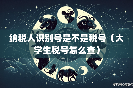 纳税人识别号是不是税号（大学生税号怎么查）