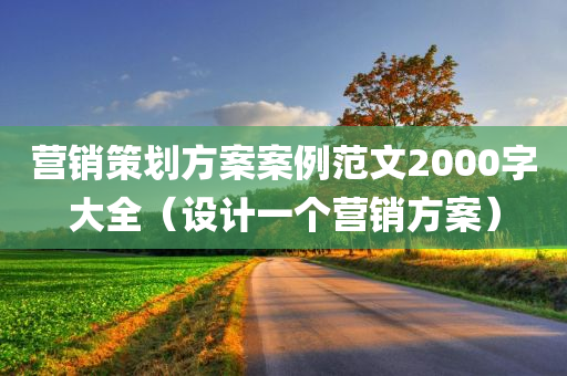 营销策划方案案例范文2000字大全（设计一个营销方案）