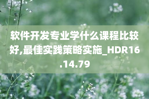 软件开发专业学什么课程比较好,最佳实践策略实施_HDR16.14.79