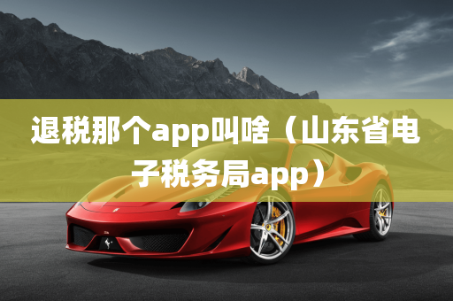 退税那个app叫啥（山东省电子税务局app）