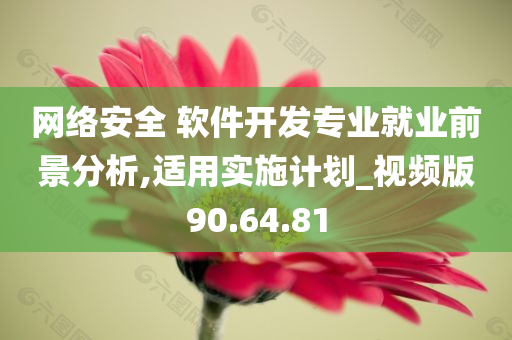 网络安全 软件开发专业就业前景分析,适用实施计划_视频版90.64.81