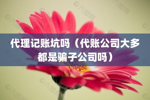 代理记账坑吗（代账公司大多都是骗子公司吗）