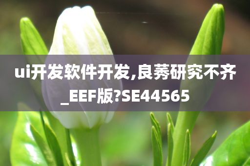 ui开发软件开发,良莠研究不齐_EEF版?SE44565