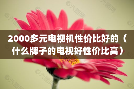 2000多元电视机性价比好的（什么牌子的电视好性价比高）