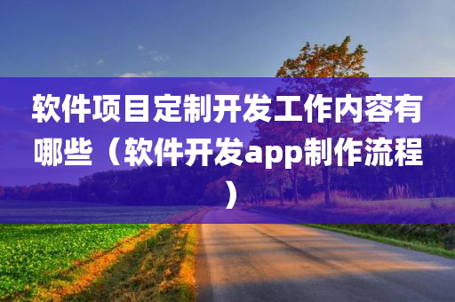 软件项目定制开发工作内容有哪些（软件开发app制作流程）