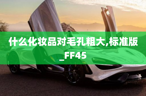 什么化妆品对毛孔粗大,标准版_FF45