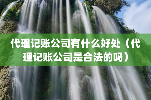 代理记账公司有什么好处（代理记账公司是合法的吗）