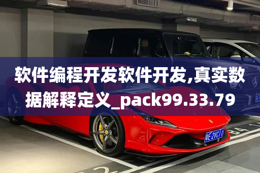 软件编程开发软件开发,真实数据解释定义_pack99.33.79