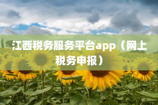 江西税务服务平台app（网上税务申报）