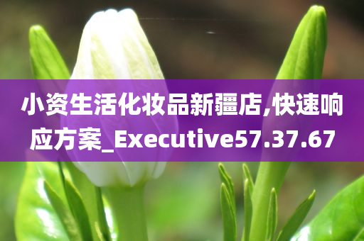 小资生活化妆品新疆店,快速响应方案_Executive57.37.67