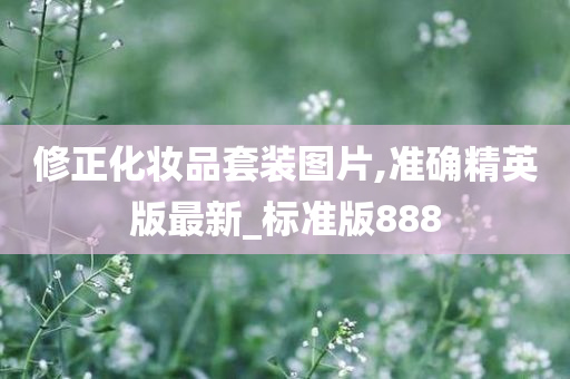 修正化妆品套装图片,准确精英版最新_标准版888