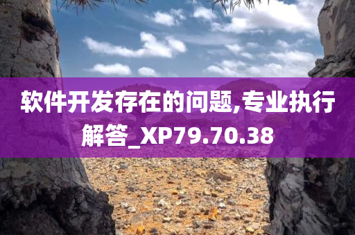 软件开发存在的问题,专业执行解答_XP79.70.38