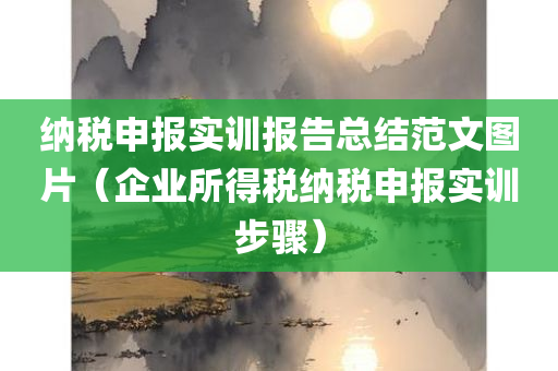 纳税申报实训报告总结范文图片（企业所得税纳税申报实训步骤）