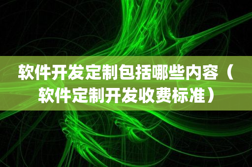 软件开发定制包括哪些内容（软件定制开发收费标准）