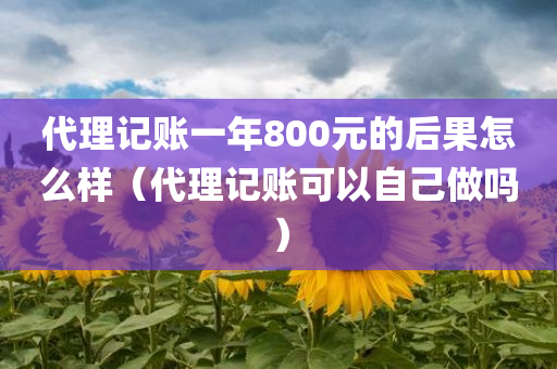 代理记账一年800元的后果怎么样（代理记账可以自己做吗）