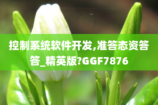 控制系统软件开发,准答态资答答_精英版?GGF7876