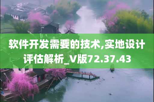 软件开发需要的技术,实地设计评估解析_V版72.37.43