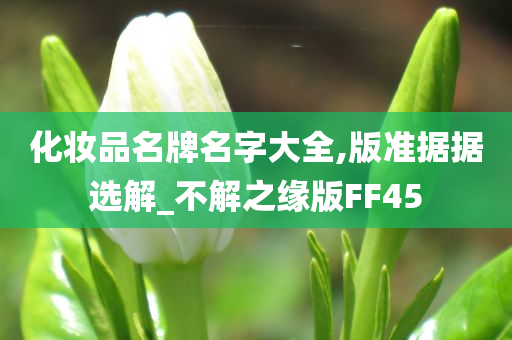 化妆品名牌名字大全,版准据据选解_不解之缘版FF45