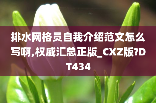 排水网格员自我介绍范文怎么写啊,权威汇总正版_CXZ版?DT434