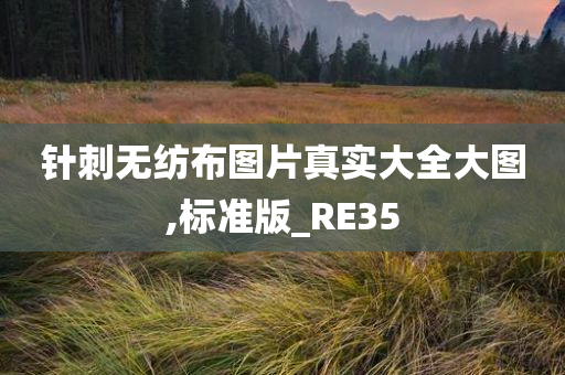 针刺无纺布图片真实大全大图,标准版_RE35