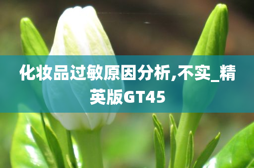 化妆品过敏原因分析,不实_精英版GT45