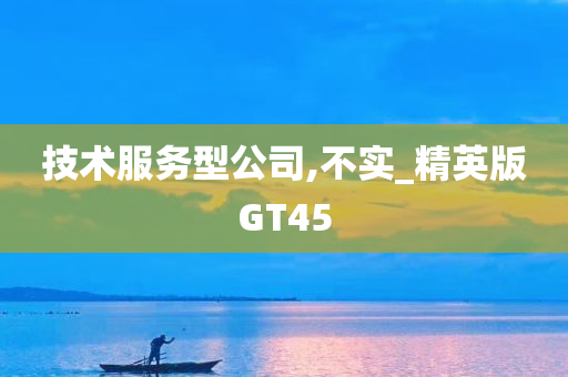 技术服务型公司,不实_精英版GT45