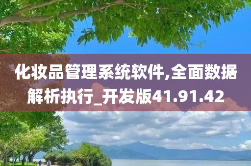 化妆品管理系统软件,全面数据解析执行_开发版41.91.42