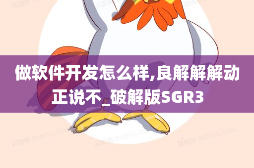 做软件开发怎么样,良解解解动正说不_破解版SGR3