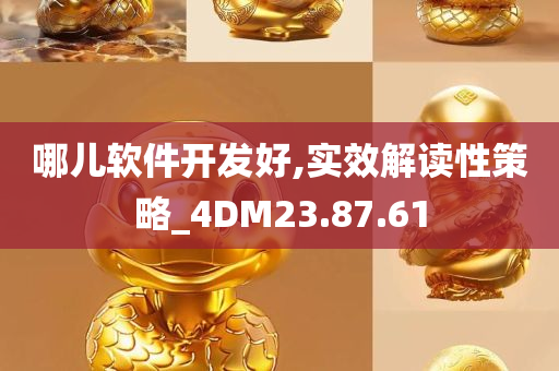 哪儿软件开发好,实效解读性策略_4DM23.87.61