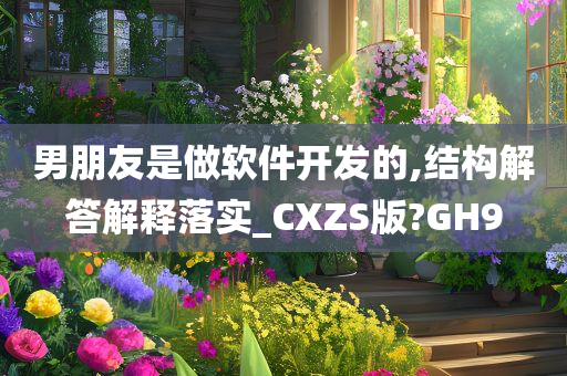 男朋友是做软件开发的,结构解答解释落实_CXZS版?GH9