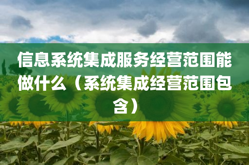 信息系统集成服务经营范围能做什么（系统集成经营范围包含）