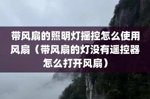 带风扇的照明灯摇控怎么使用风扇（带风扇的灯没有遥控器怎么打开风扇）